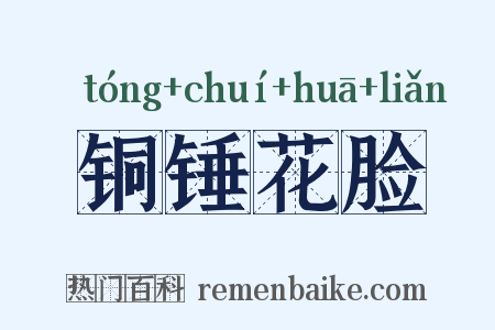 铜锤花脸是什么意思的图片